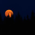 The picture shows a full moon at night to represent the scariness of retirement.