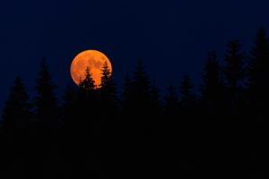 The picture shows a full moon at night to represent the scariness of retirement.