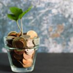 The picture shows a plant growing from a vase full of coins.