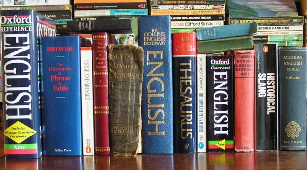 The picture shows a shelf full of dictionaries to represent financial terminology.