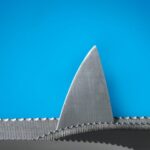 The picture shows a metal shark fin to represent banking risk.