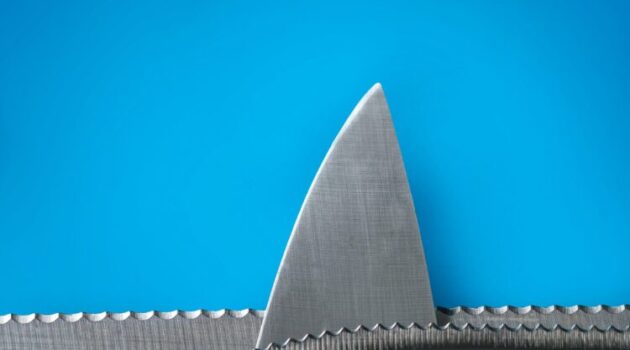 The picture shows a metal shark fin to represent banking risk.