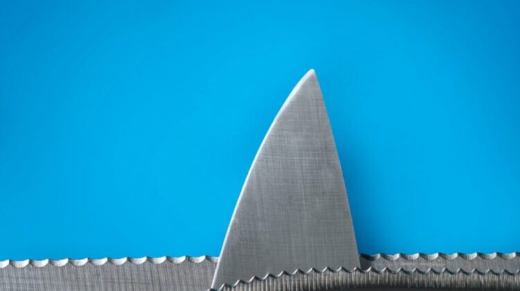 The picture shows a metal shark fin to represent banking risk.