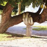 The picture shows a tree with a hand-shaped brace where it's falling to represent the help an elder care manager can give families.