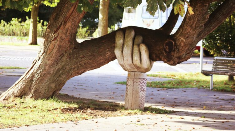 The picture shows a tree with a hand-shaped brace where it's falling to represent the help an elder care manager can give families.