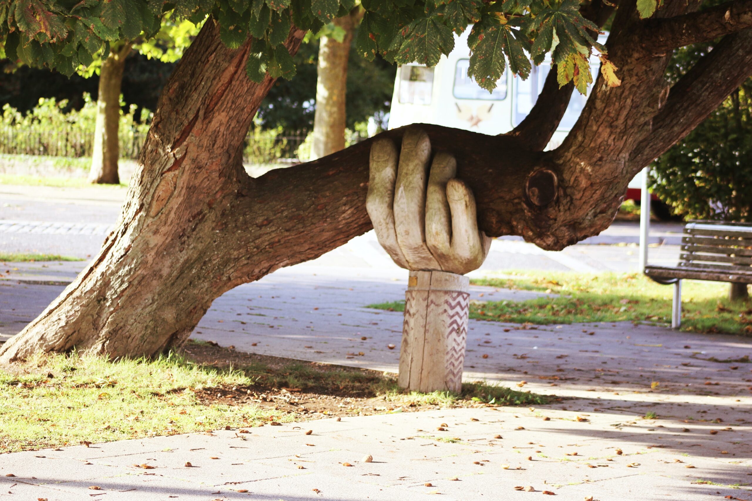 The picture shows a tree with a hand-shaped brace where it's falling to represent the help an elder care manager can give families.