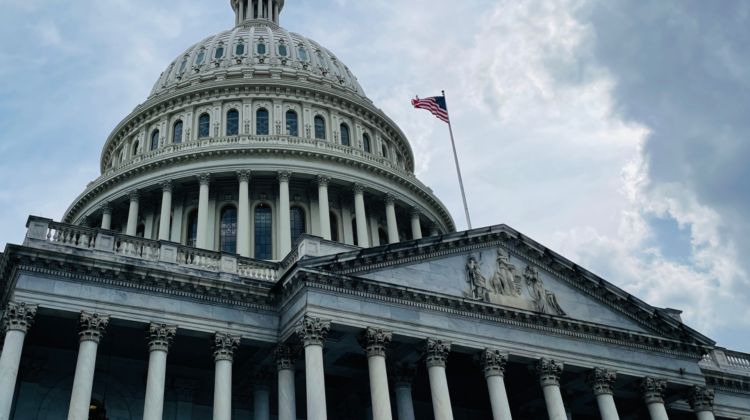 The picture is of a governmental building to represent federal debt.