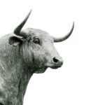 The picture shows the Wall Street bull to represent the S&P 500.