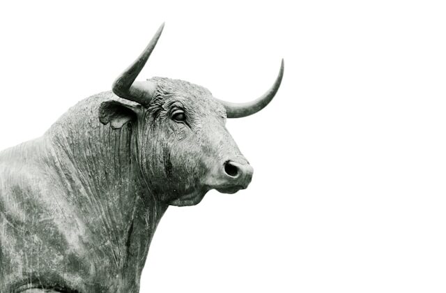 The picture shows the Wall Street bull to represent the S&P 500.