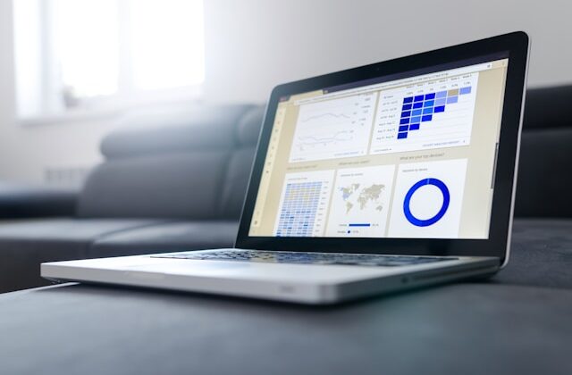 The picture shows a computer screen full of graphs and charts to represent budgeting apps.